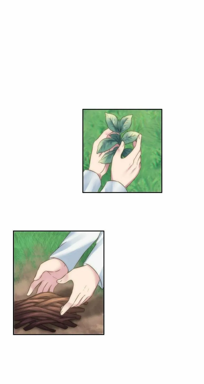 Read The Dragon Prince
