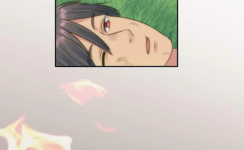 Read The Dragon Prince