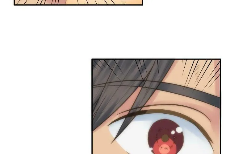 Read The Dragon Prince