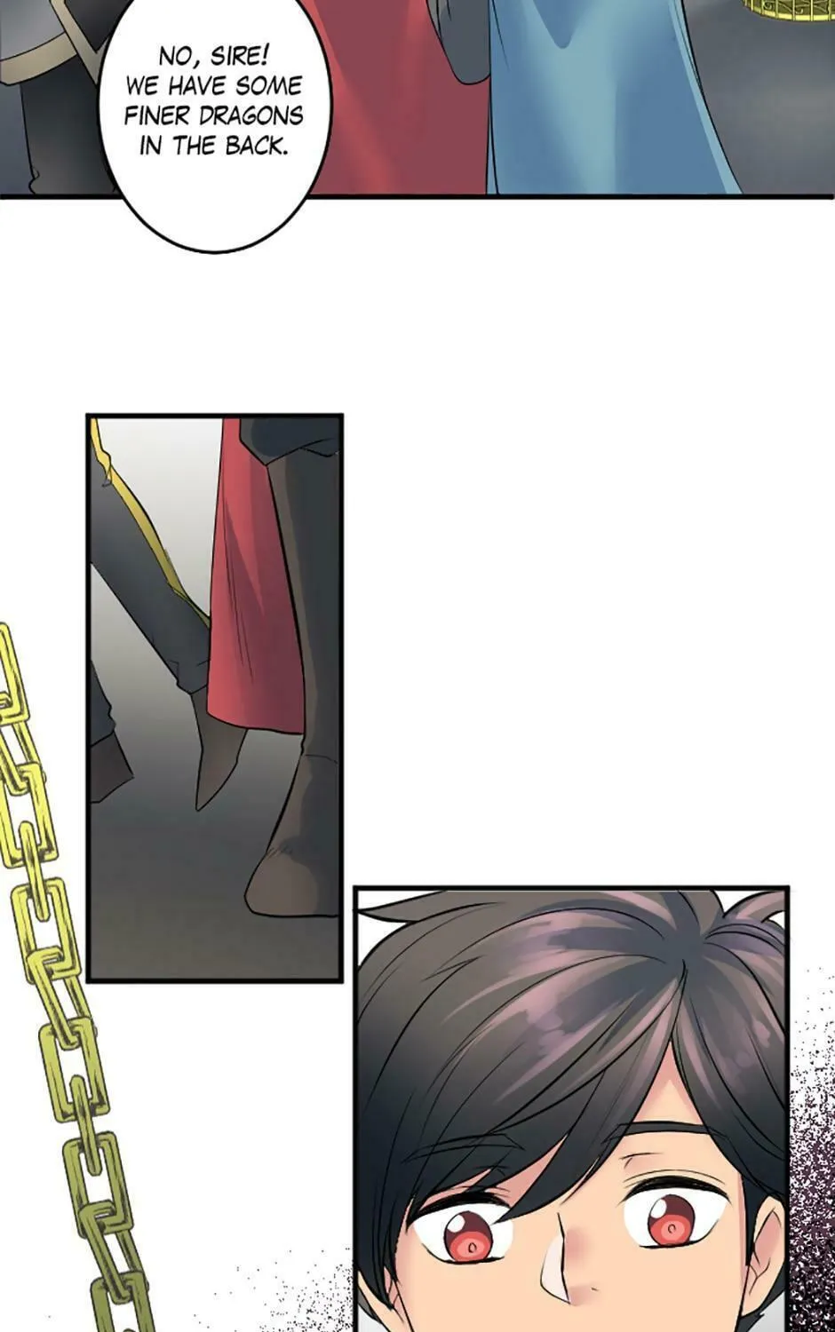 Read The Dragon Prince