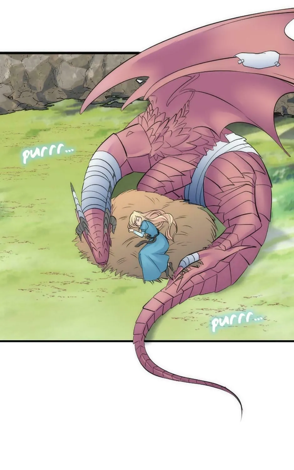 Read The Dragon Prince