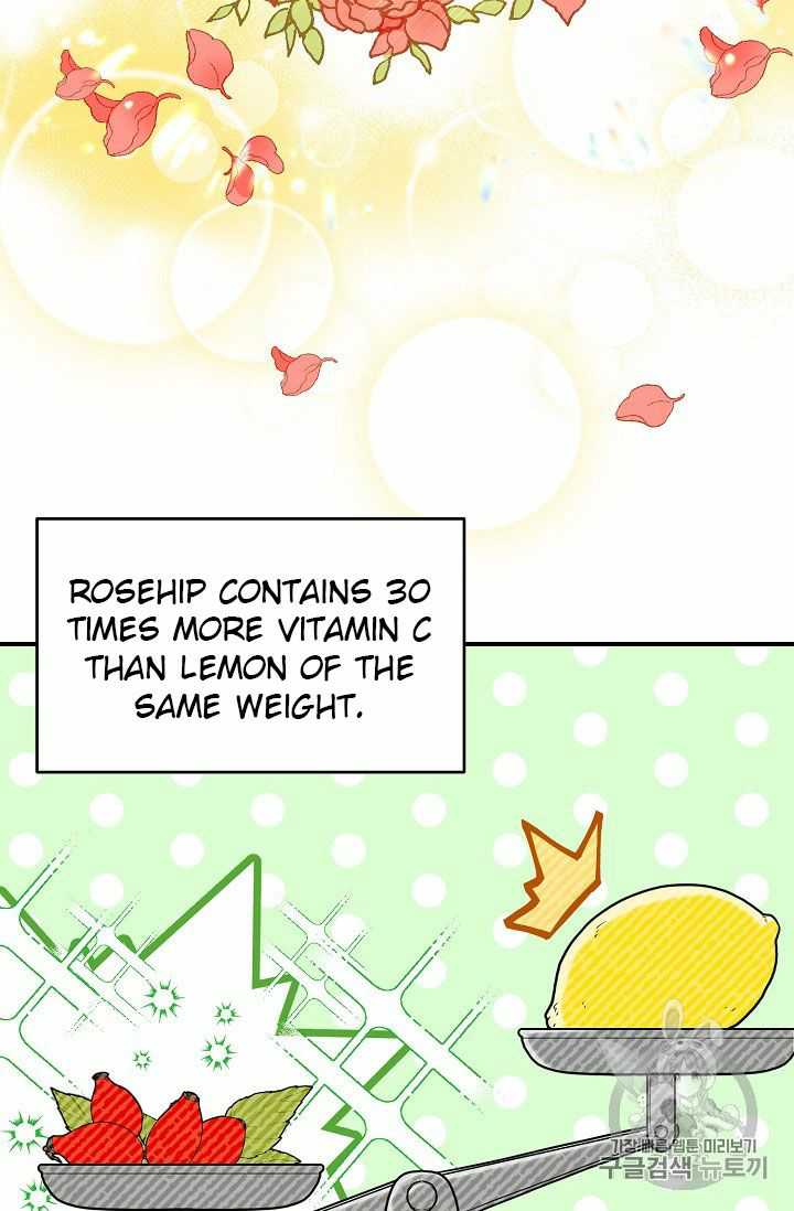 Read The Duchess