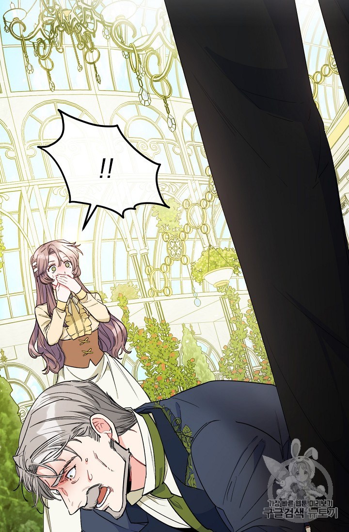 Read The Duchess