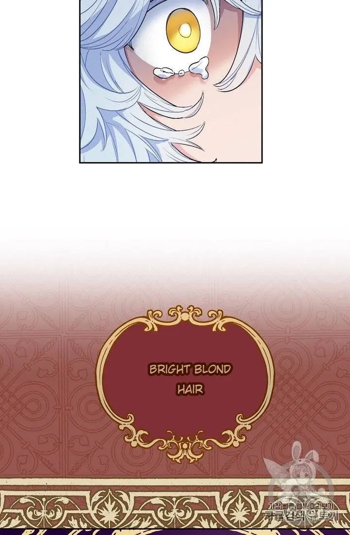 Read The Duchess