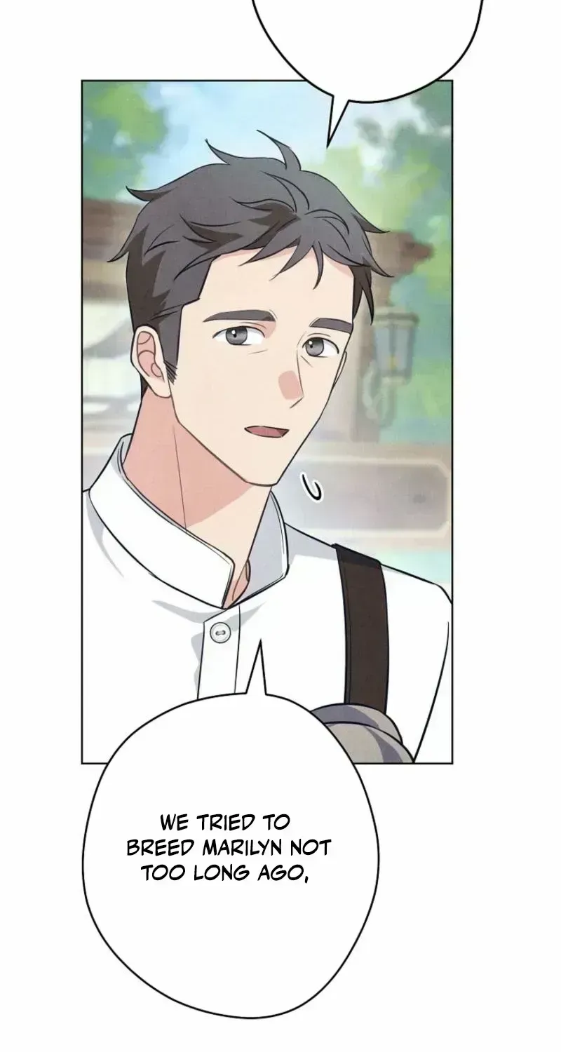 The Duke’s Wife Obsession Chapter 1.3 page 105 - 