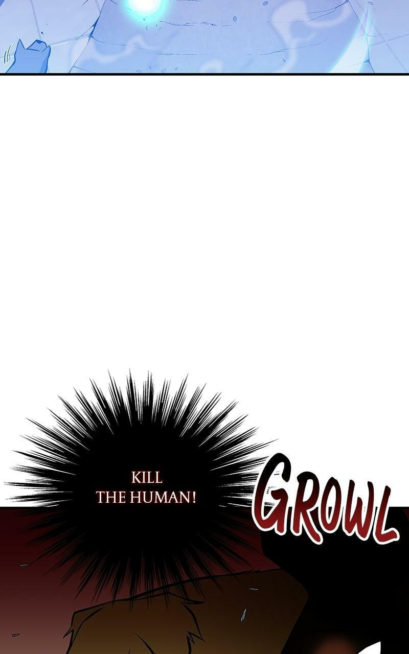 Read The Earth