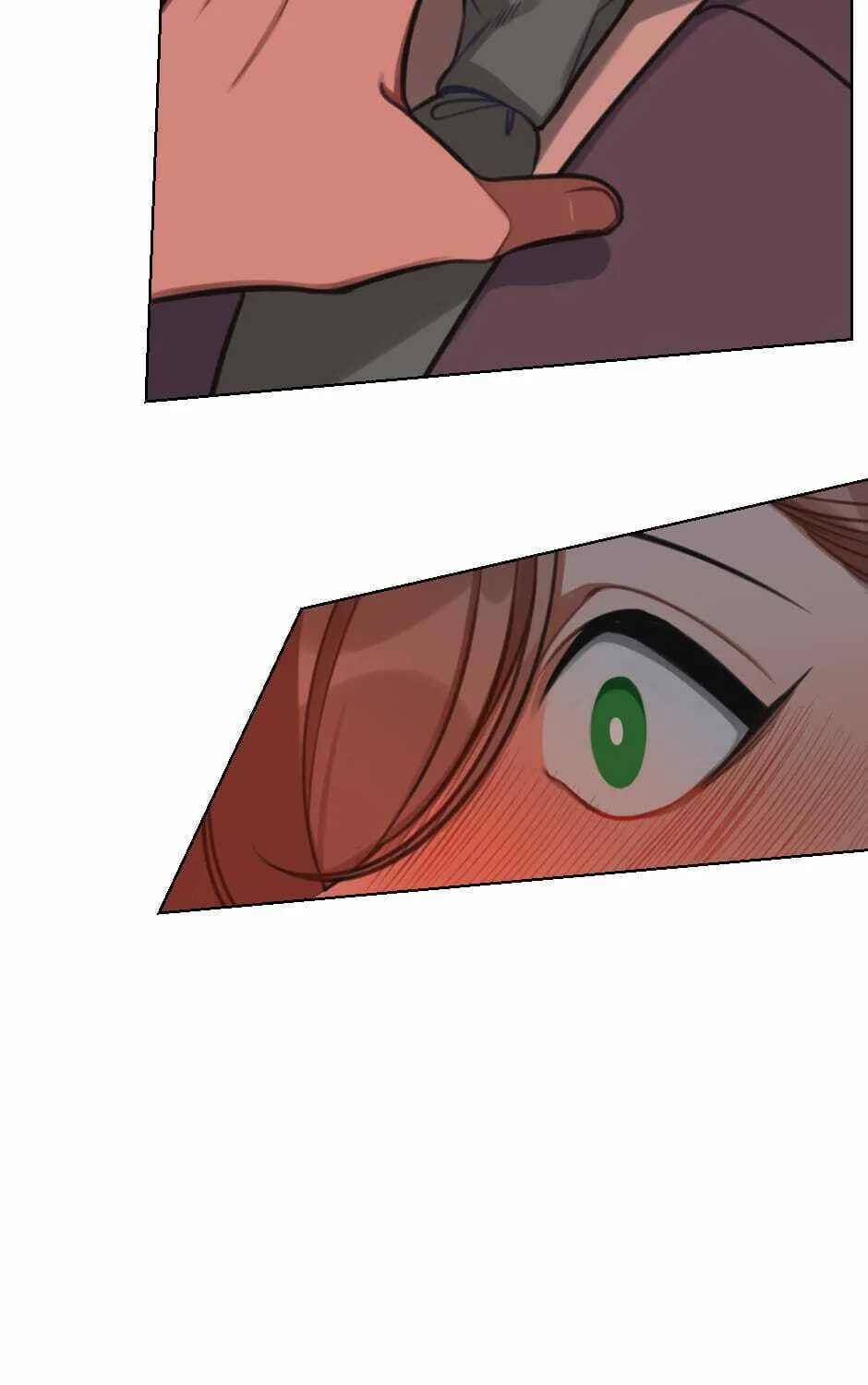 The Eccentric Duchess Chapter 37 page 14 - 