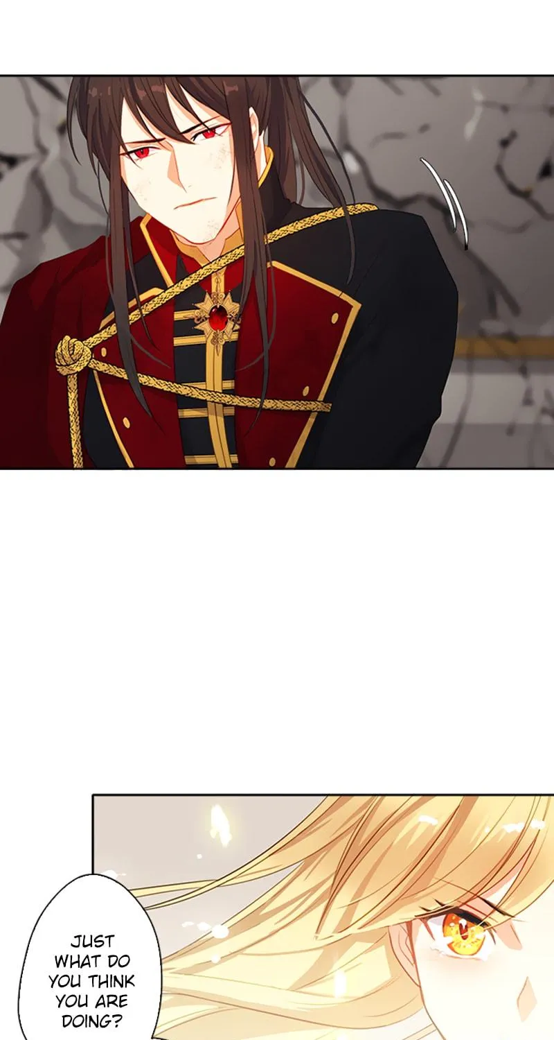 Read The Emperor