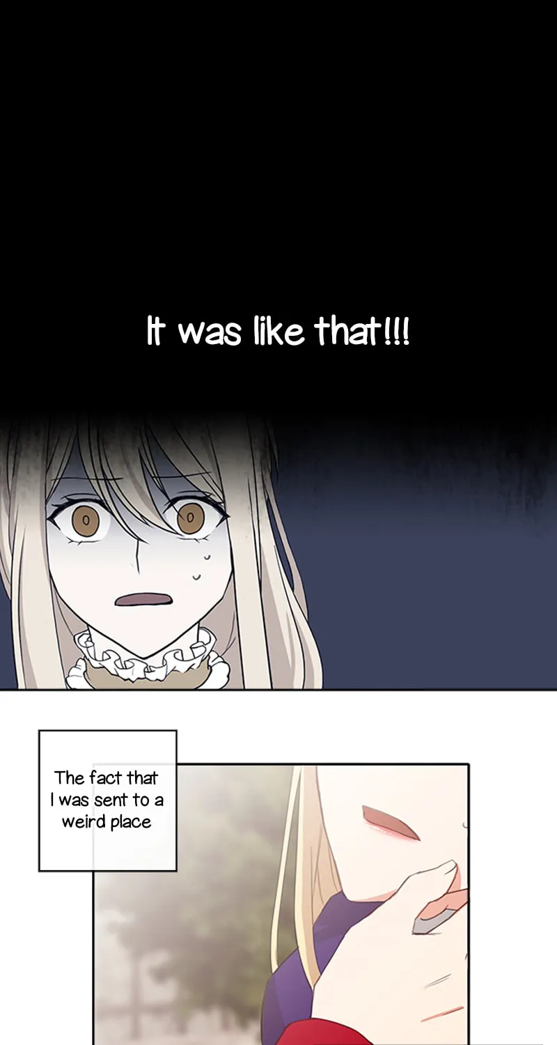 Read The Emperor