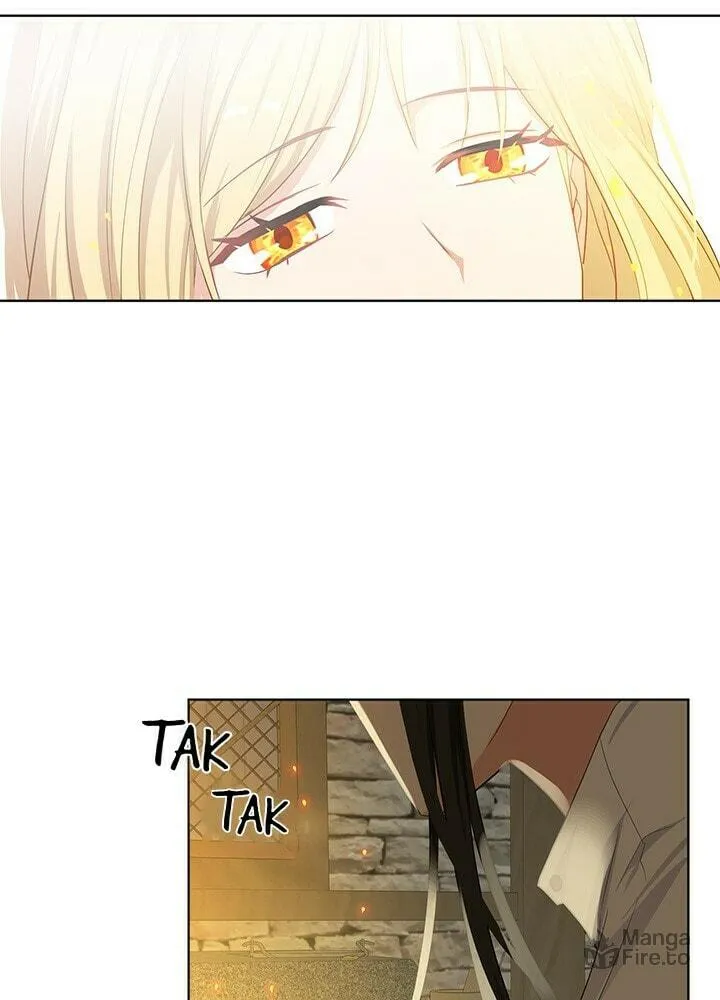 Read The Emperor