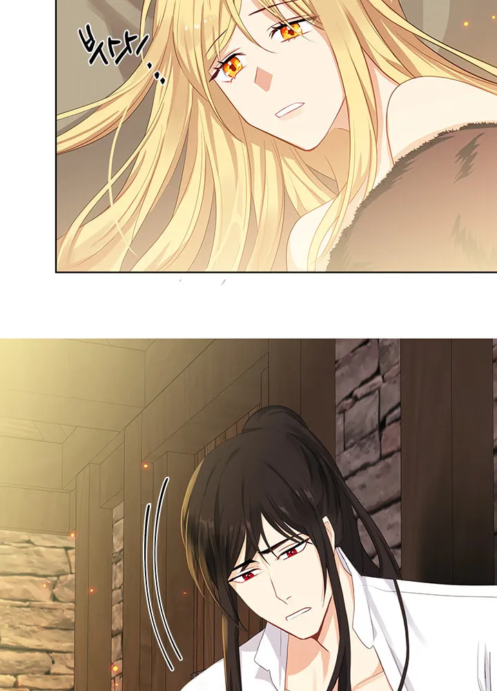 Read The Emperor