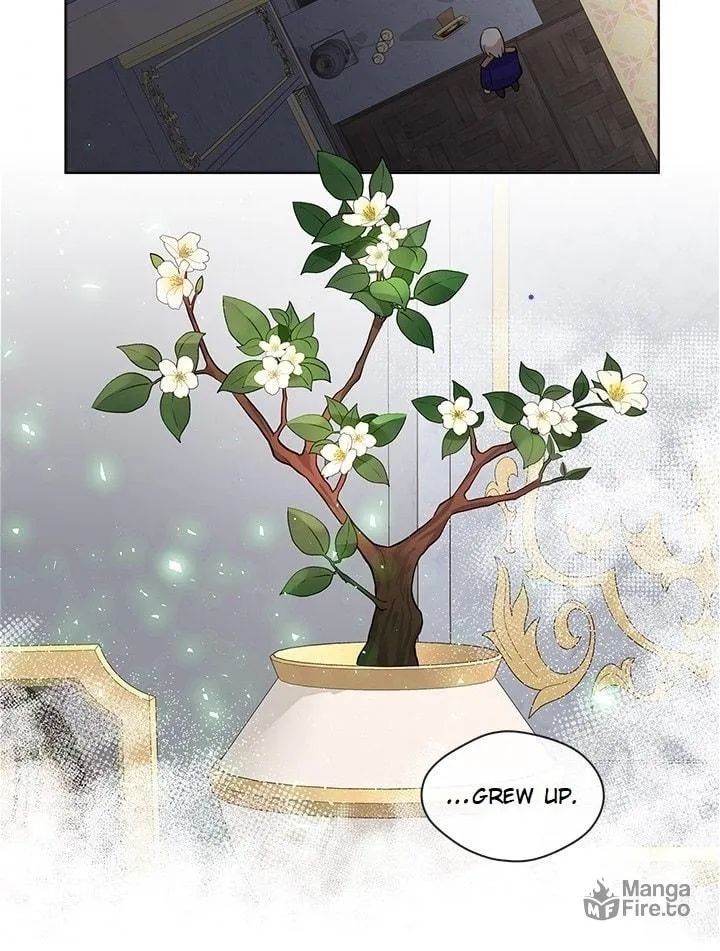 Read The Emperor
