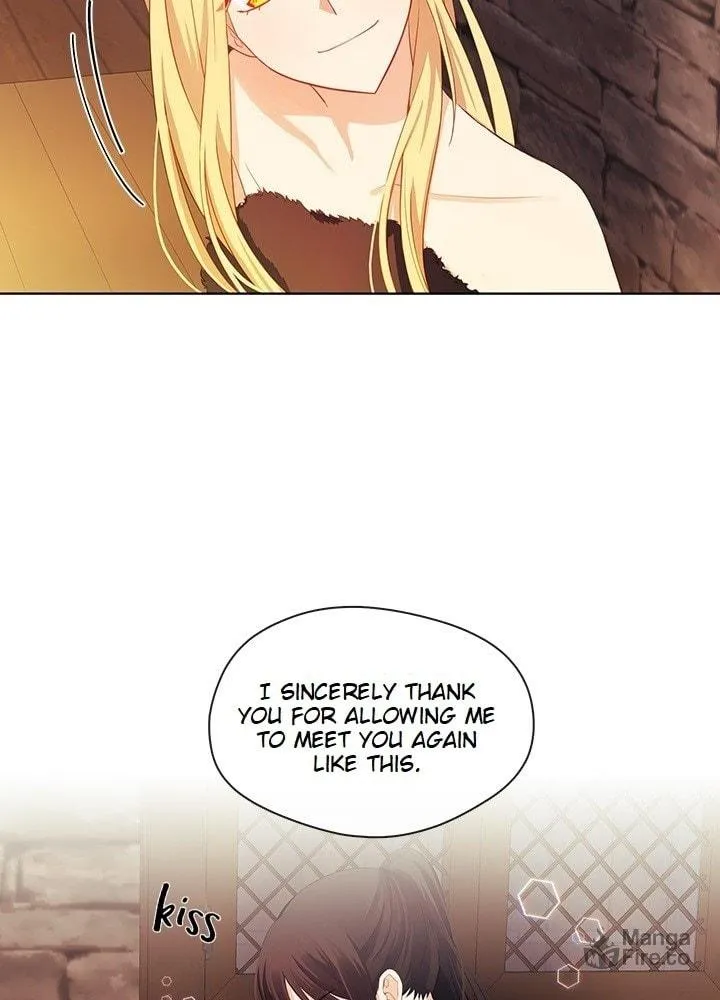 Read The Emperor