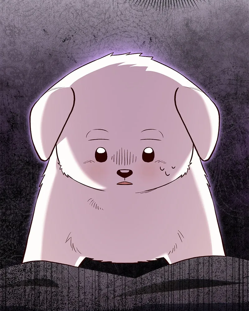 The Emperor's Puppy Chapter 13 page 42 - 