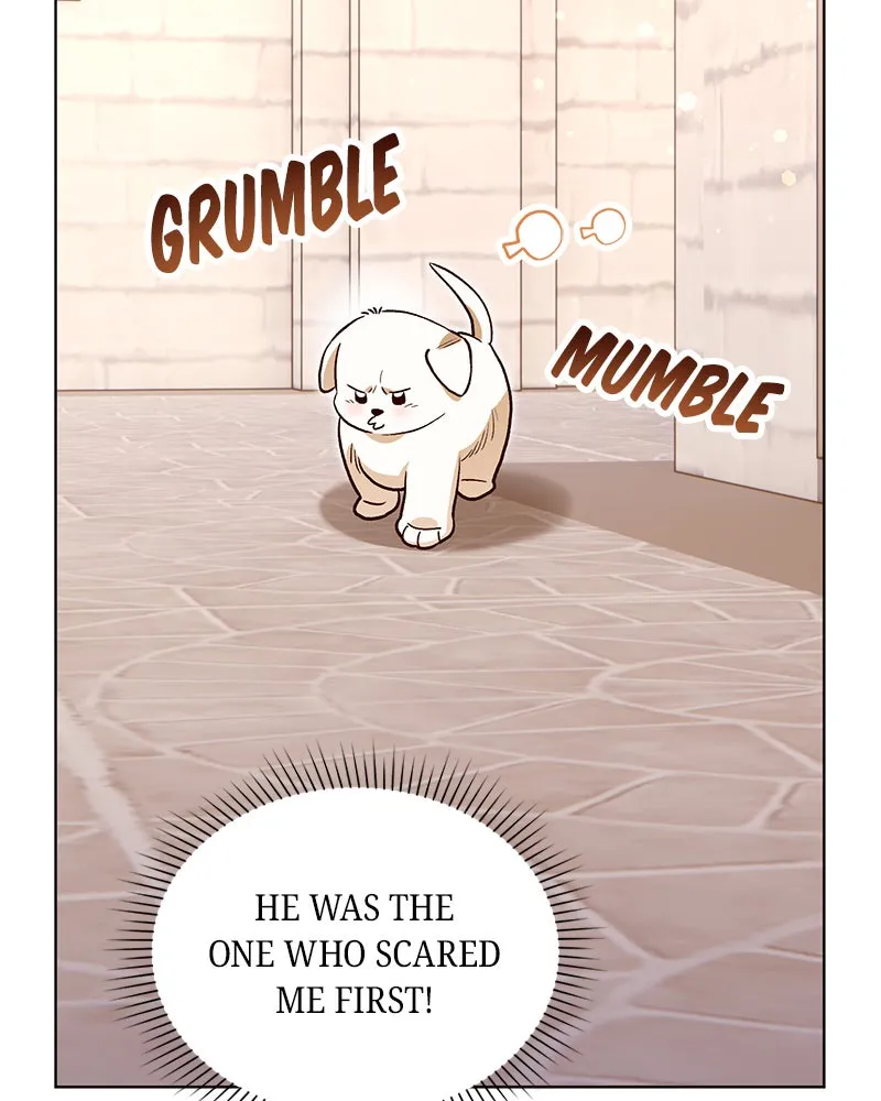 The Emperor's Puppy Chapter 13 page 70 - 