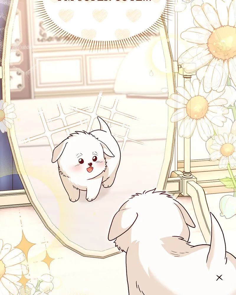 The Emperor's Puppy Chapter 2 page 57 - 