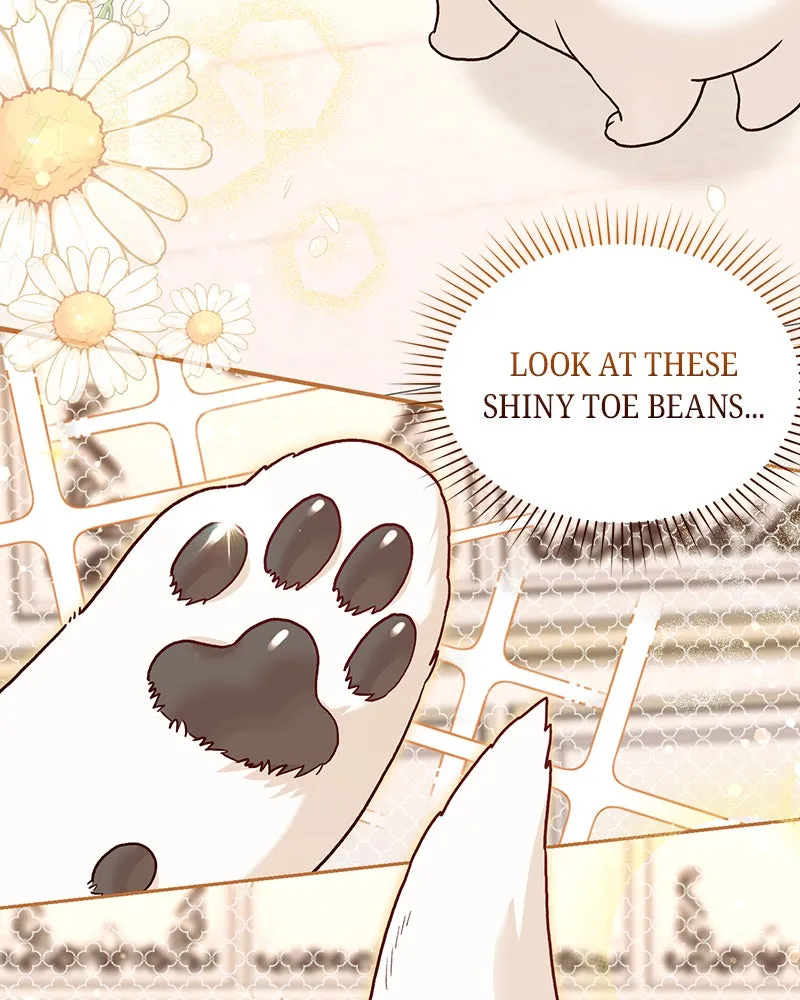 The Emperor's Puppy Chapter 2 page 58 - 