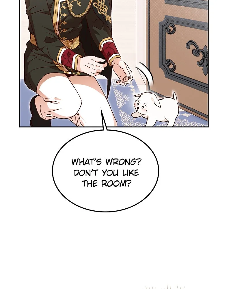 The Emperor's Puppy Chapter 2 page 9 - 