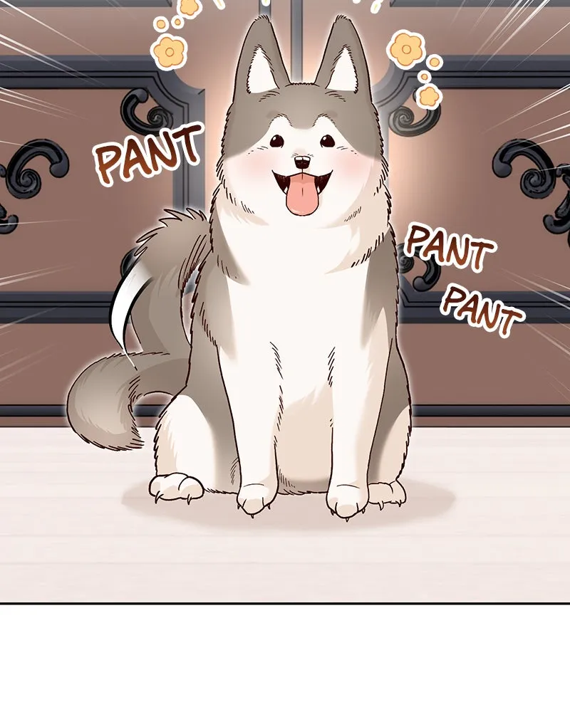 The Emperor's Puppy Chapter 2 page 97 - 