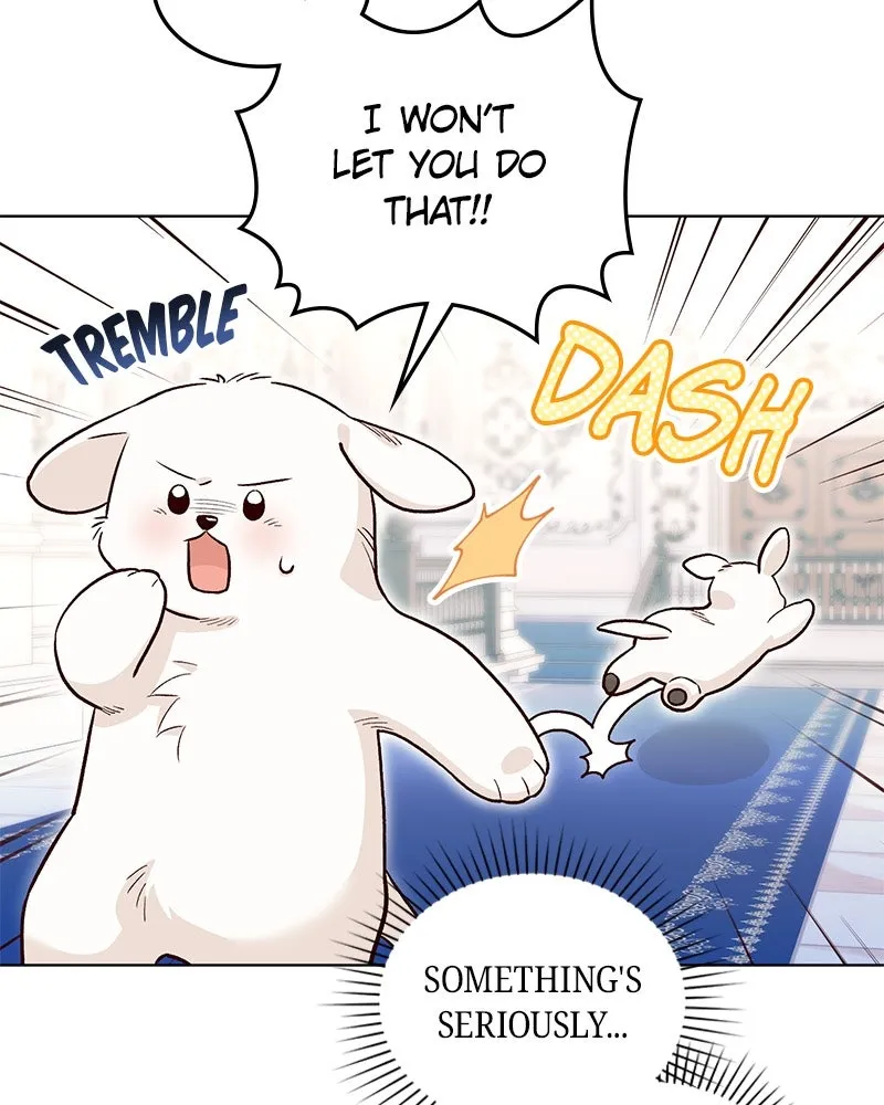 The Emperor's Puppy Chapter 20 page 4 - 
