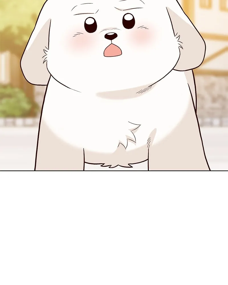 The Emperor's Puppy Chapter 21 page 19 - 
