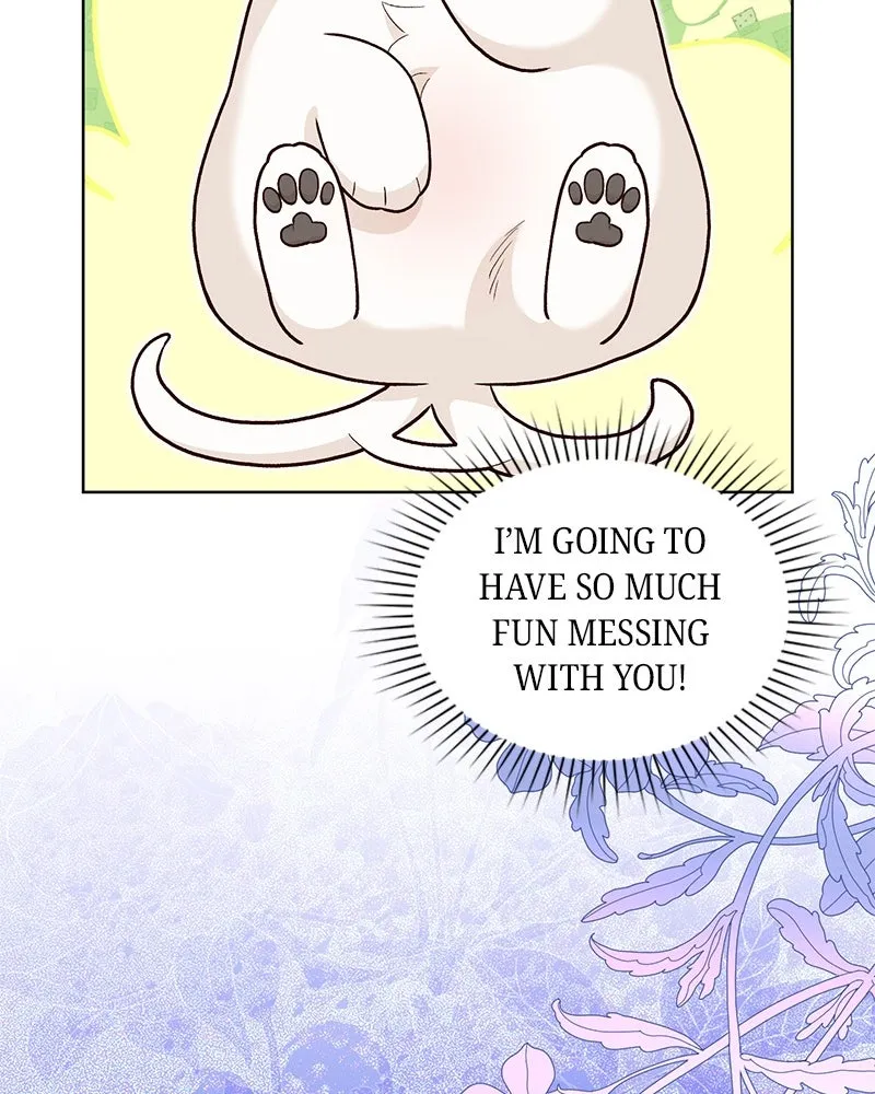 The Emperor's Puppy Chapter 21 page 88 - 
