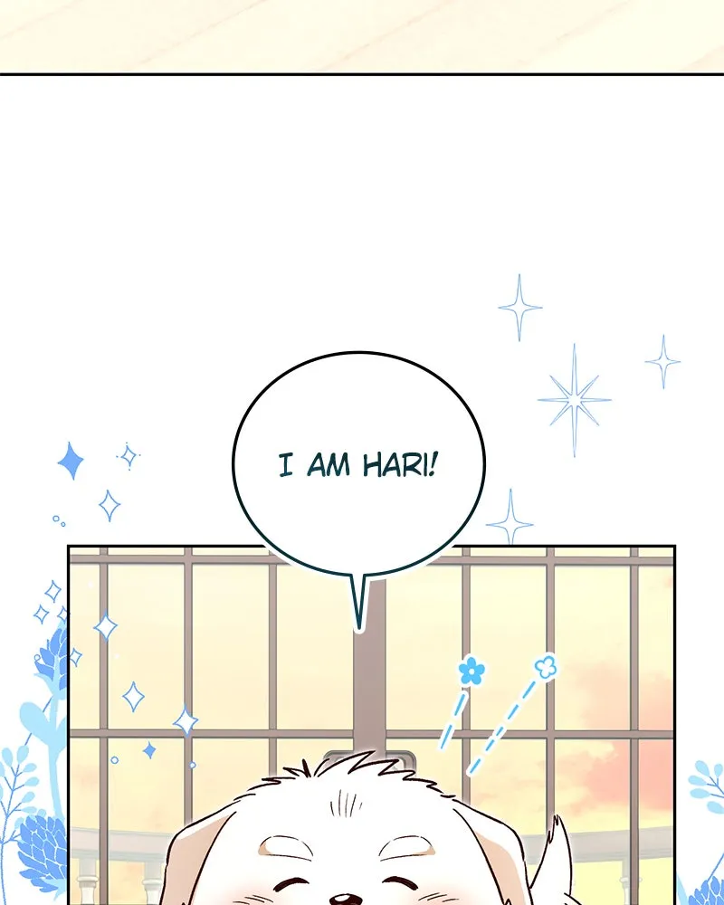 The Emperor's Puppy Chapter 3 page 47 - 