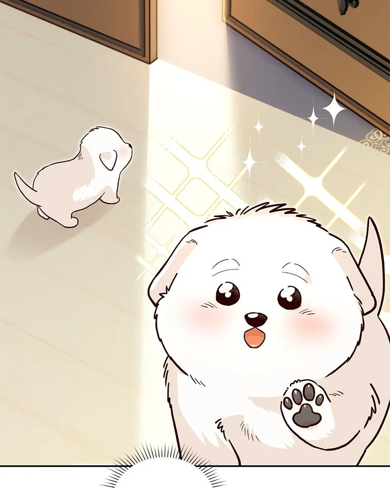 The Emperor's Puppy Chapter 3 page 65 - 