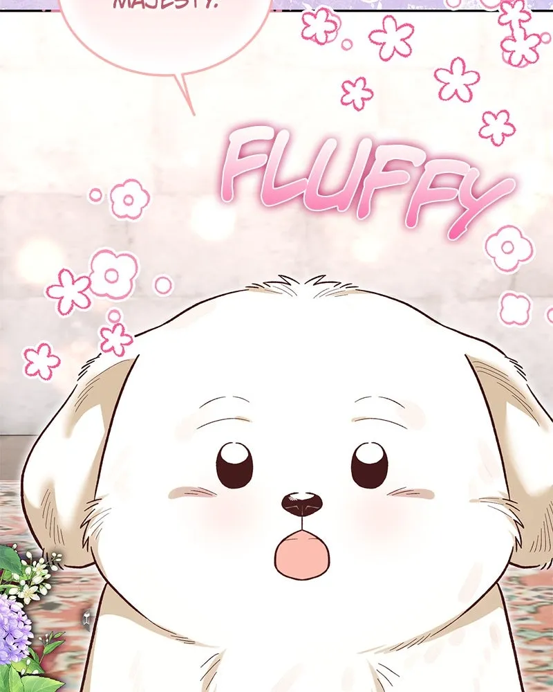 The Emperor's Puppy Chapter 39 page 140 - 