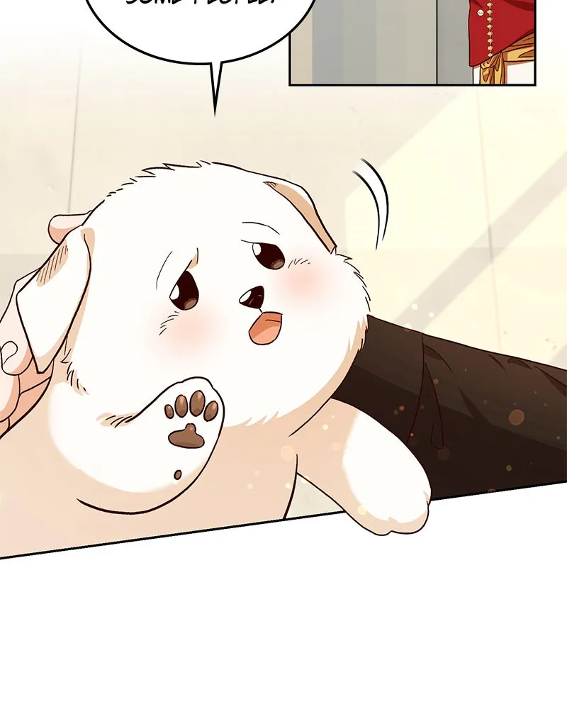 The Emperor's Puppy Chapter 4 page 2 - 