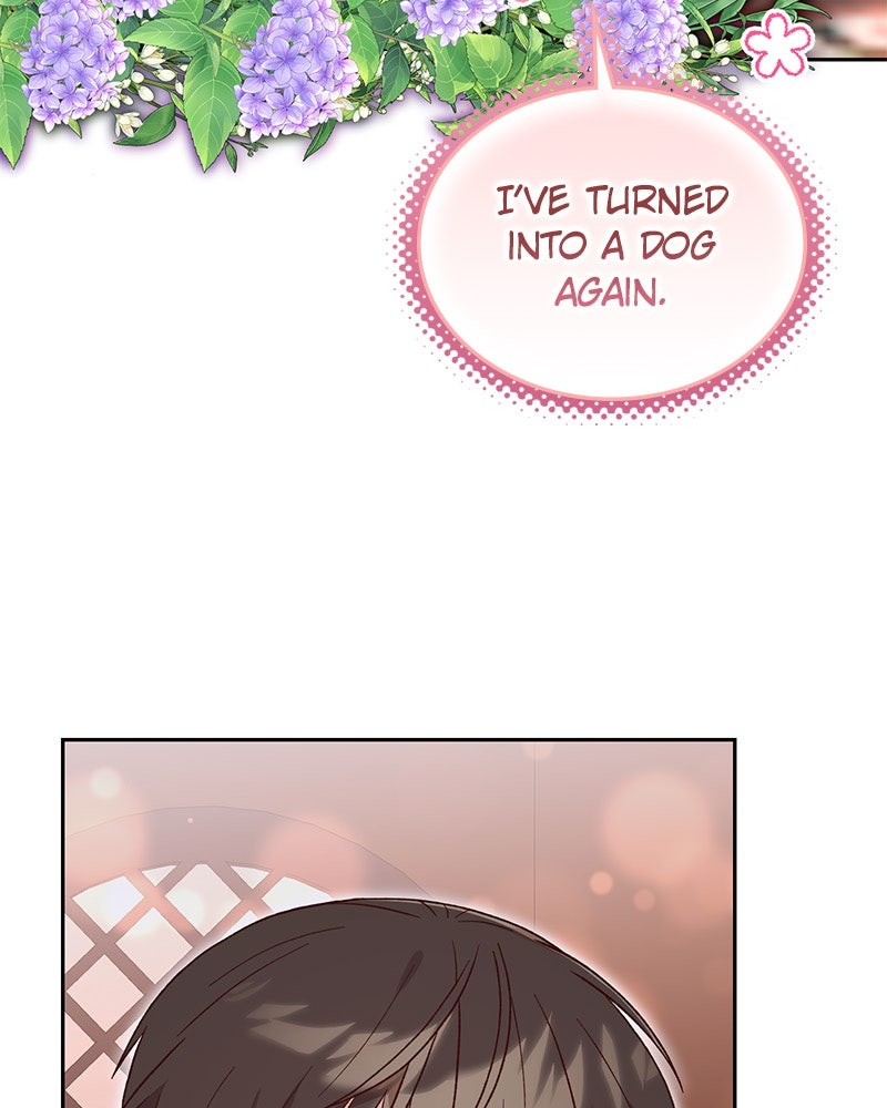The Emperor's Puppy Episode 40 page 3 - 