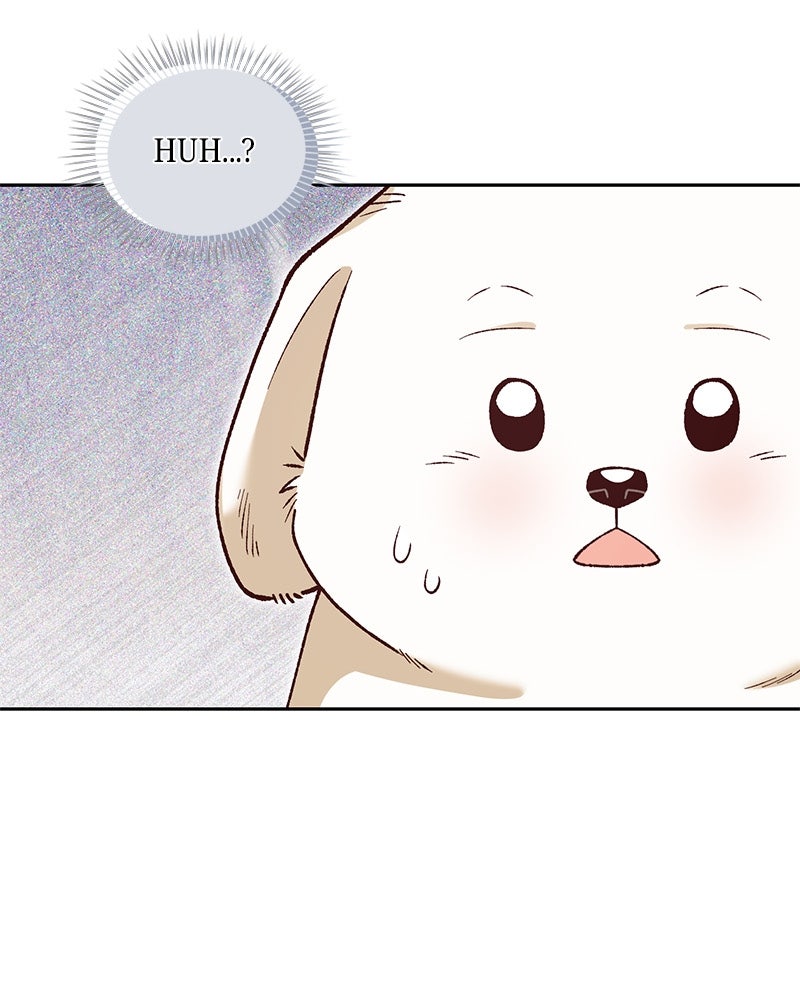 The Emperor's Puppy Episode 41 page 3 - 