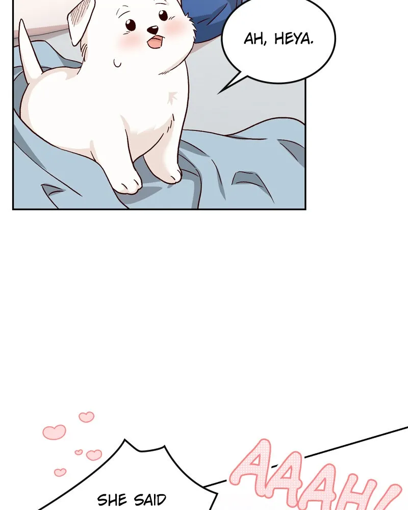 The Emperor's Puppy Chapter 5 page 3 - 