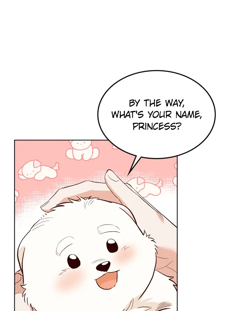 The Emperor's Puppy Chapter 6 page 72 - 