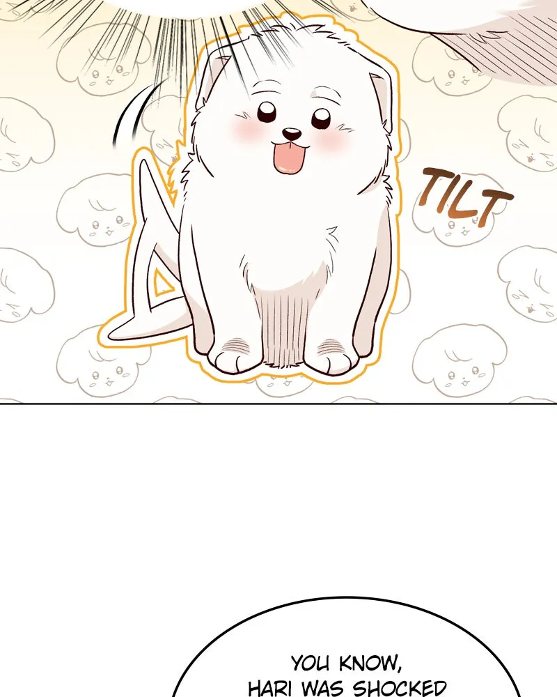The Emperor's Puppy Chapter 7 page 30 - 