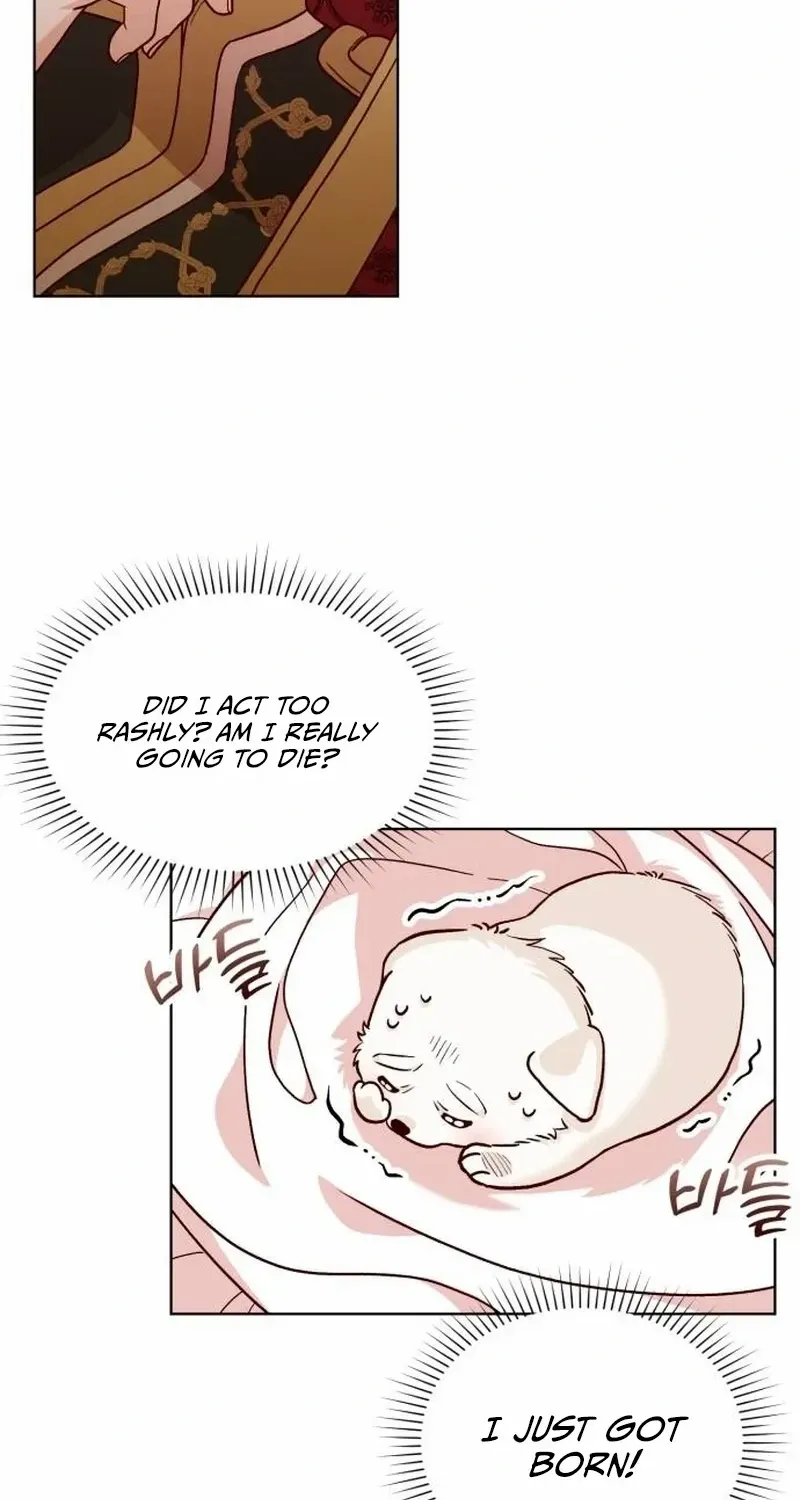 Read The Emperor’s Dog chapter 1 image 64 on Lezhin