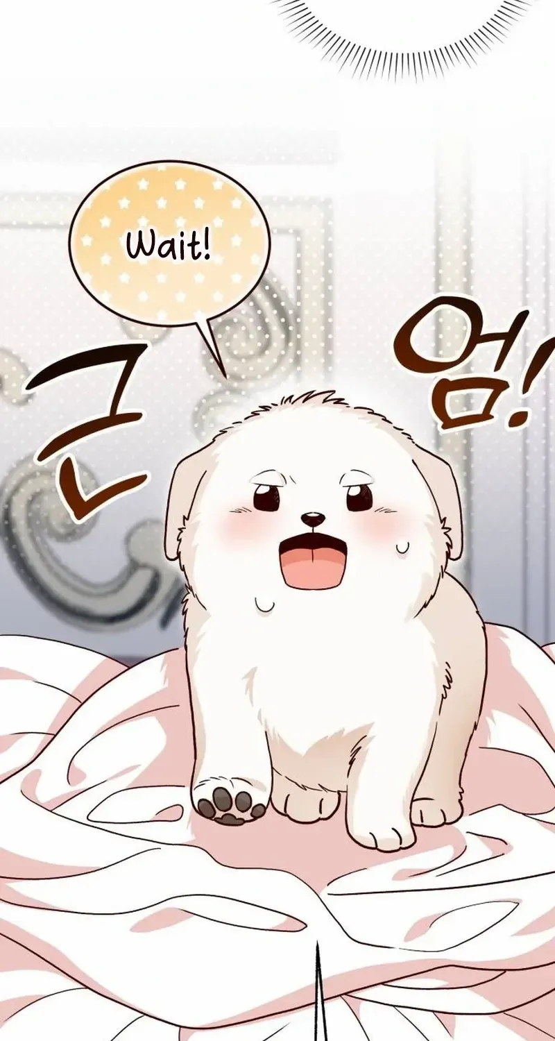 Read The Emperor’s Dog chapter 1 image 65 on Lezhin