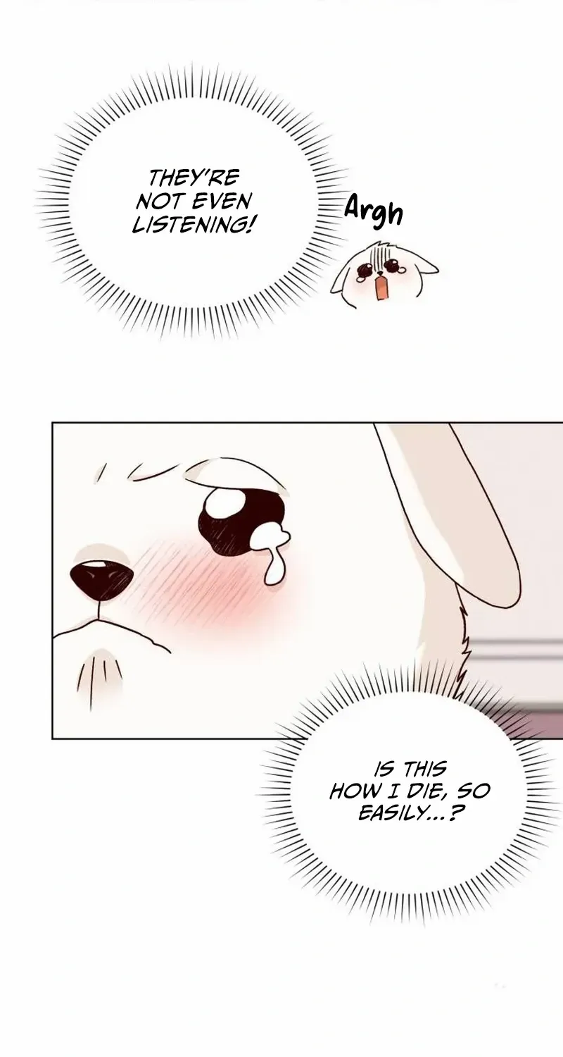 Read The Emperor’s Dog chapter 1 image 67 on Lezhin