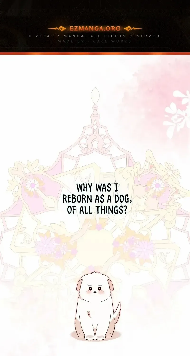 Read The Emperor’s Dog chapter 10 image 1 on Lezhin
