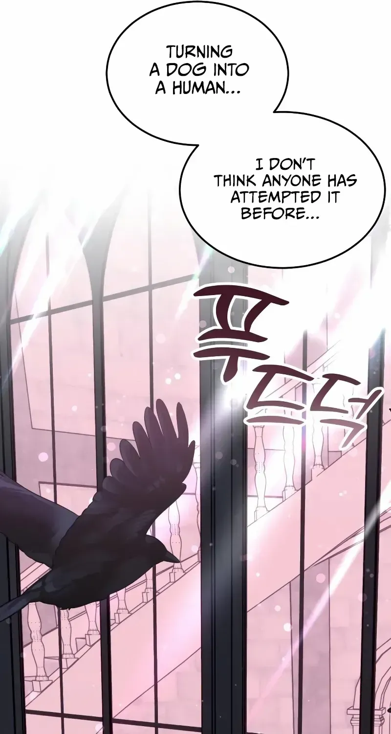 Read The Emperor’s Dog chapter 10 image 17 on Lezhin