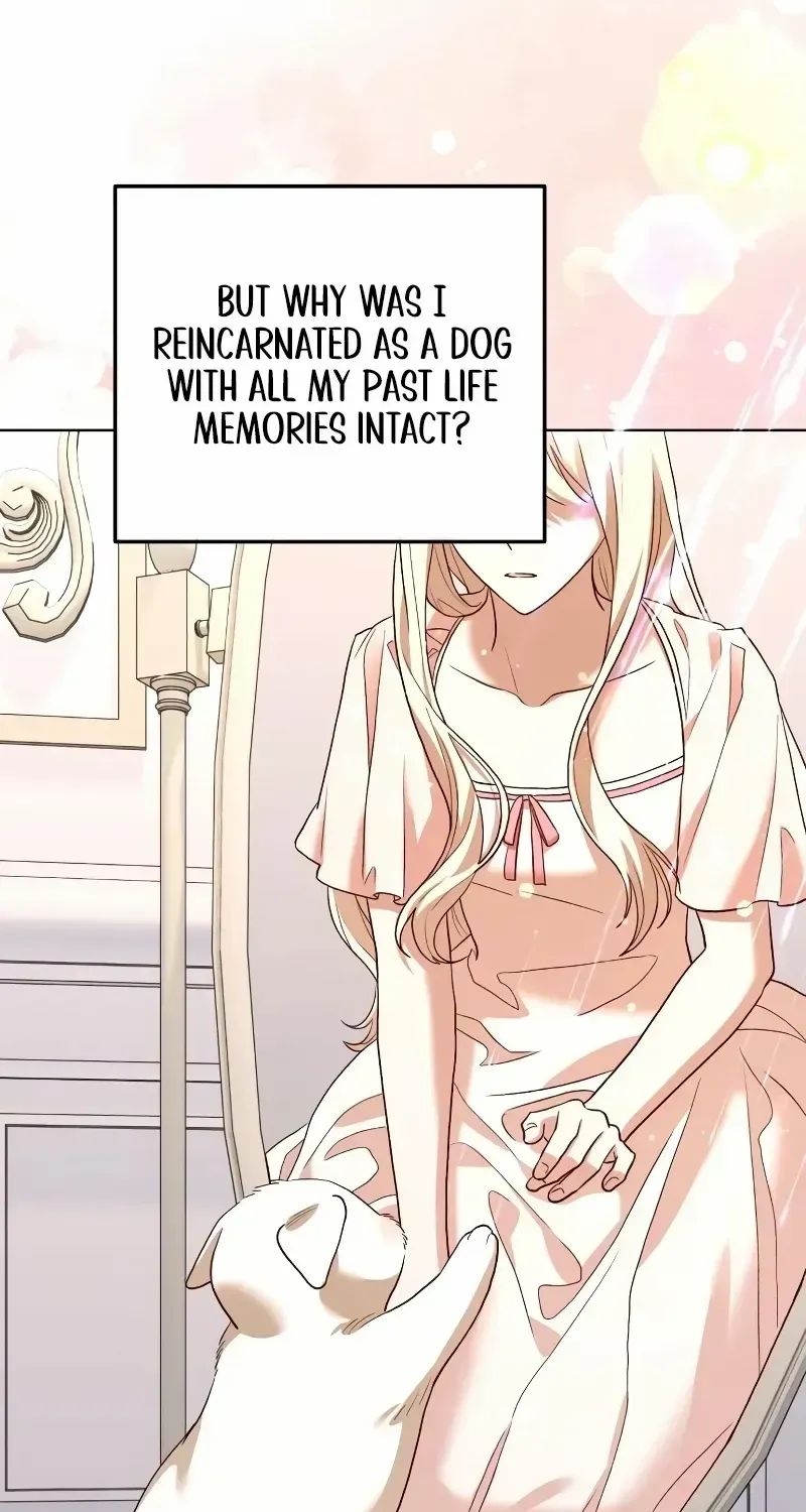 Read The Emperor’s Dog chapter 10 image 7 on Lezhin