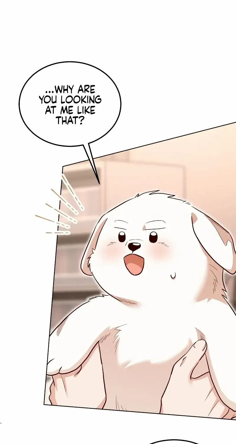 Read The Emperor’s Dog chapter 12 image 19 on Lezhin