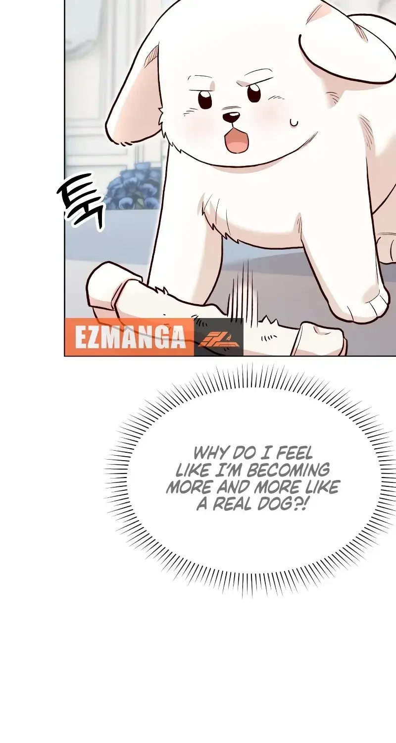 Read The Emperor’s Dog chapter 15 image 27 on Lezhin