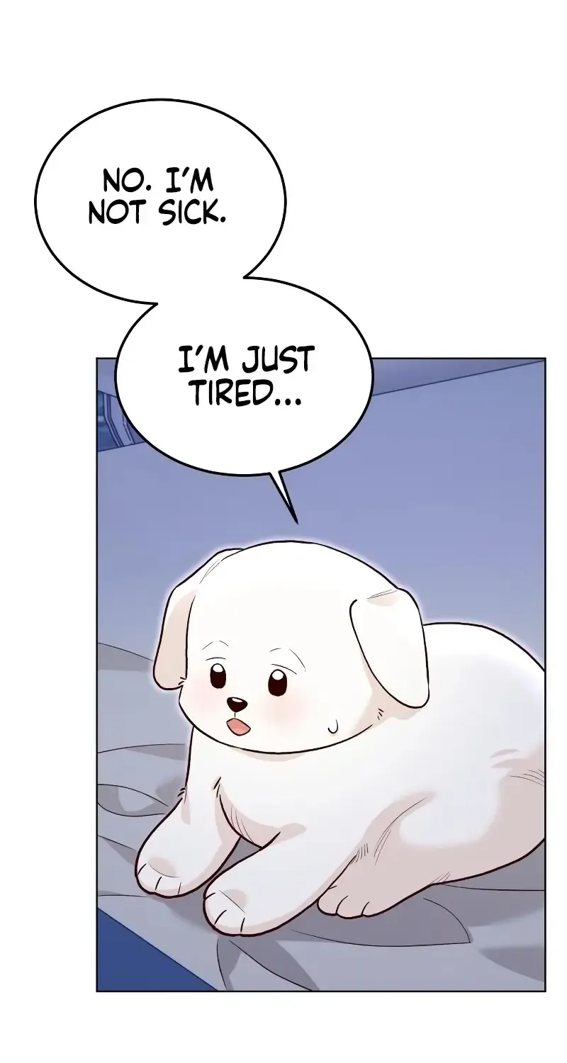 Read The Emperor’s Dog chapter 17 image 19 on Lezhin