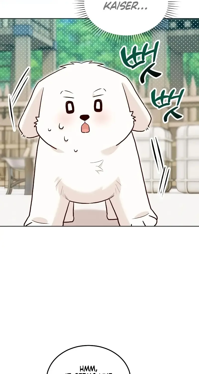 Read The Emperor’s Dog chapter 17 image 36 on Lezhin