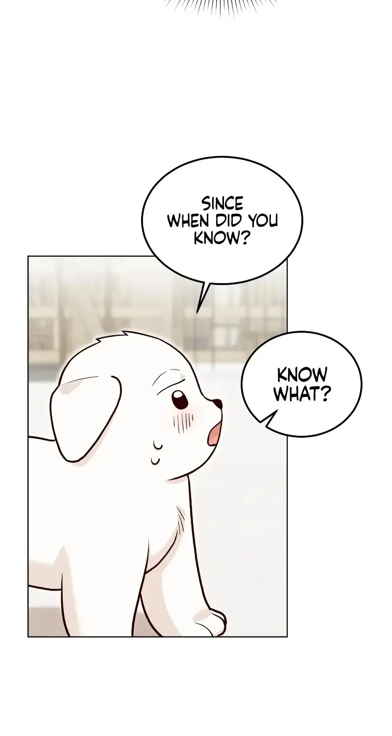 Read The Emperor’s Dog chapter 17 image 51 on Lezhin