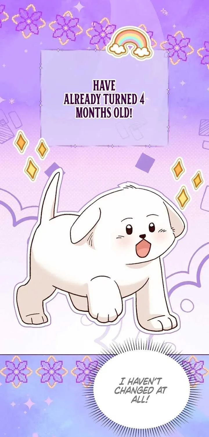 Read The Emperor’s Dog chapter 19 image 60 on Lezhin