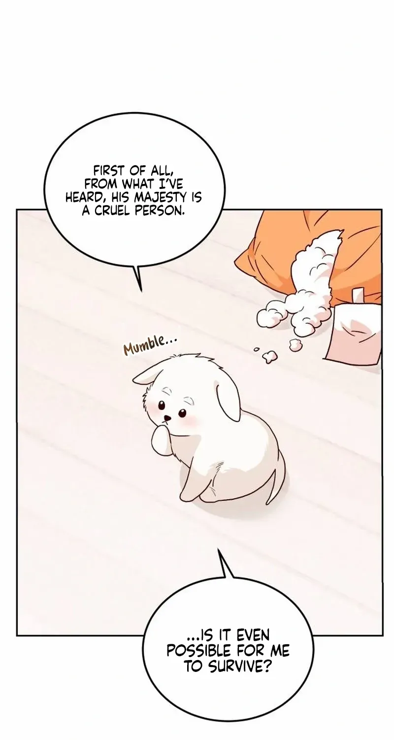 Read The Emperor’s Dog chapter 2 image 36 on Lezhin
