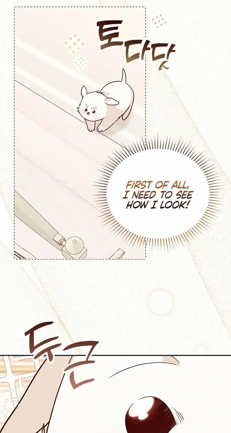 Read The Emperor’s Dog chapter 2 image 38 on Lezhin