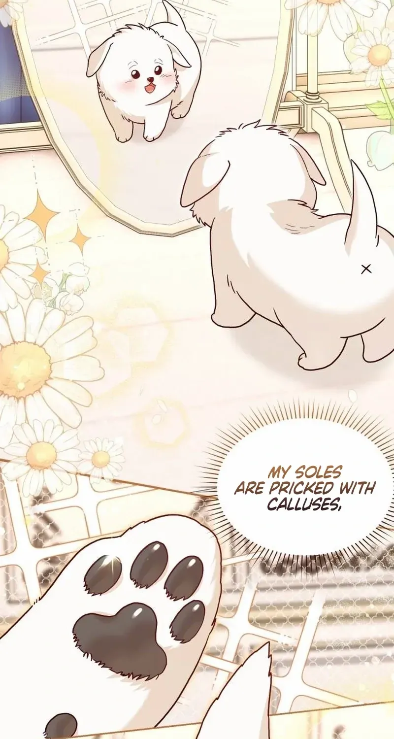 Read The Emperor’s Dog chapter 2 image 40 on Lezhin